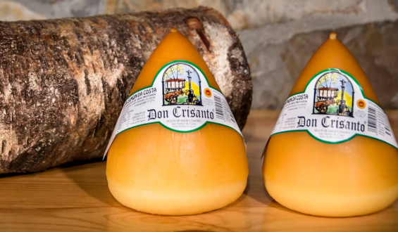 El queso Don Crisanto, mejor de España 2025, destaca por su sabor único y producción artesanal